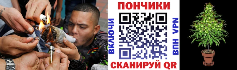 наркотики  Жуков  Марихуана план 
